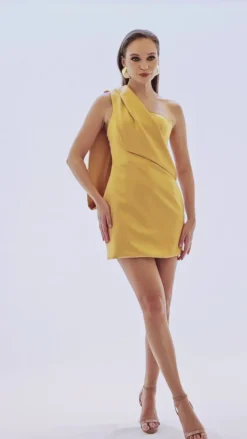 Mini Dresses | All Dresses<Bariano ARISSA ONE SHOUDER DRAPED MINI BL70D60S