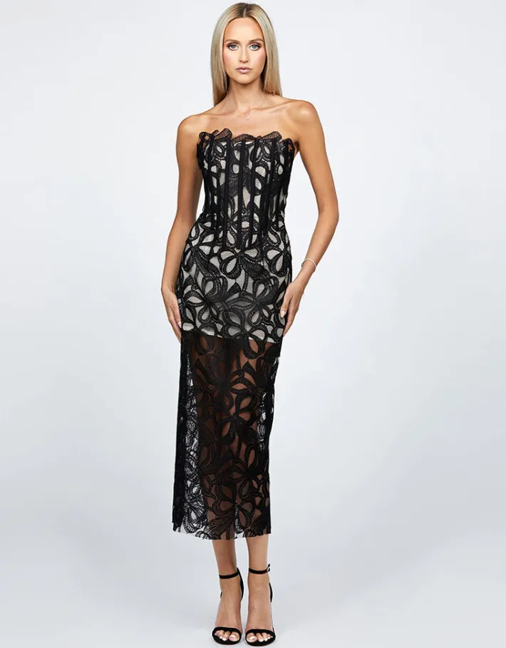 Midi Dresses | All Dresses<Bariano CLARISE FITTED STRAPLESS LACE MIDI BL68D42S BLACK/NUDE