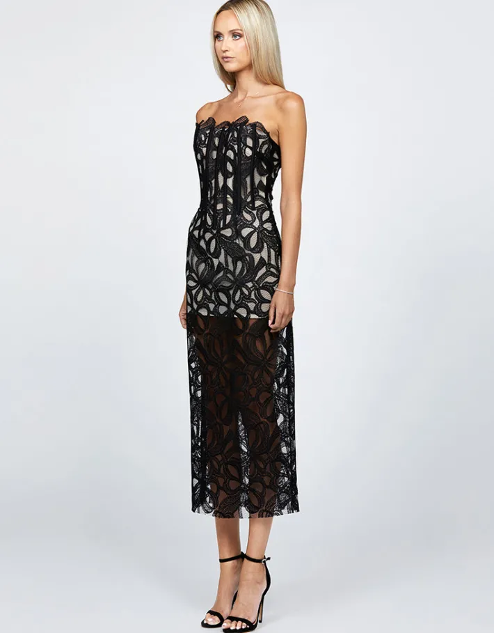 Midi Dresses | All Dresses<Bariano CLARISE FITTED STRAPLESS LACE MIDI BL68D42S BLACK/NUDE