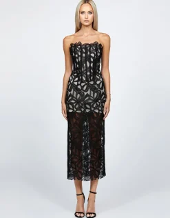 Midi Dresses | All Dresses<Bariano CLARISE FITTED STRAPLESS LACE MIDI BL68D42S BLACK/NUDE