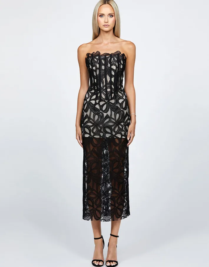 Midi Dresses | All Dresses<Bariano CLARISE FITTED STRAPLESS LACE MIDI BL68D42S BLACK/NUDE