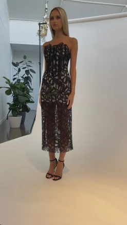 Midi Dresses | All Dresses<Bariano CLARISE FITTED STRAPLESS LACE MIDI BL68D42S BLACK/NUDE