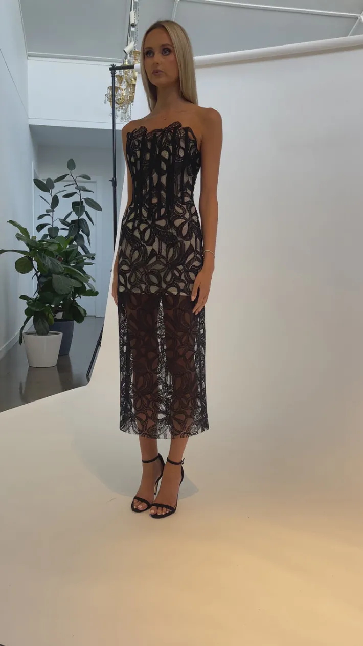 Midi Dresses | All Dresses<Bariano CLARISE FITTED STRAPLESS LACE MIDI BL68D42S BLACK/NUDE