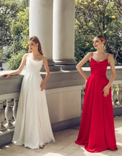 Gowns / Ballgowns | Maxi Dresses<Bariano DIAMOND COWL WRAP GOWN B43D11LW