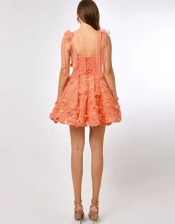 Mini Dresses | All Dresses<Bariano MARIA CORSET A LINE MINI B70D04S CORAL
