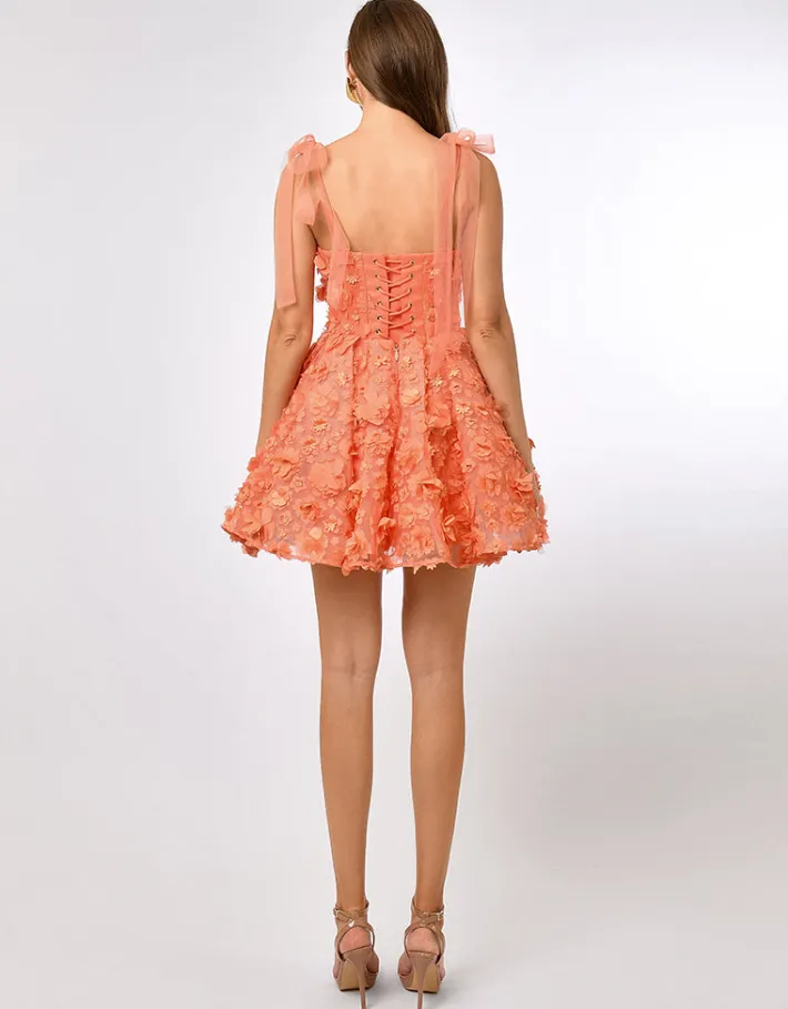 Mini Dresses | All Dresses<Bariano MARIA CORSET A LINE MINI B70D04S CORAL