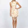 Midi Dresses | All Dresses<Bariano PRESLEY FRILL MINI BL72D30S PEACH PRINT