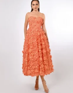 Midi Dresses<Bariano SAVANNA STRAPLESS FLORAL MIDAXI B70D05L CORAL